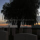 Prowse Point Cemetery : cross and graves near Ploegsteert Wood - dolly shot real time