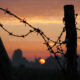 Sunrise over recreated trench warfare system near Ploegsteert Wood - dolly shot real time