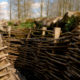 Walking in Heuvelland through Bayernwald german trench system - handheld shot real time