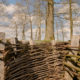 Heuvelland World War One historic site : the german trenches of Bayernwald - handheld shot real time
