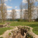 Remains of WW1 Flanders Fields : the reconstructed Bayernwald trenches - handheld shot real time