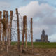 Flanders Fields : World War One front line and recreated trench near Mesen - static time lapse