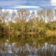 World War One Flanders Fields : Spanbroekmolen Crater Pool of Peace - static time lapse