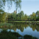 Passchendaele Museum : Château Grounds nature recreation area - dolly shot real time