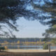 Nature best place : Lommel Sahara with sand, lake and pine trees - static real time