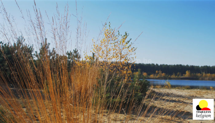 Lommel Sahara landscape