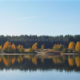 Autumn scenery with blue lake and forest in Bosland nature reserve - Pan/tilt shot real time