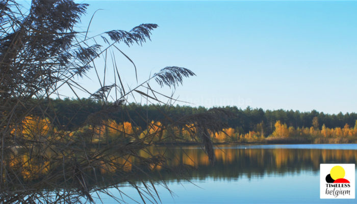 Blue lake with forrest in autumn