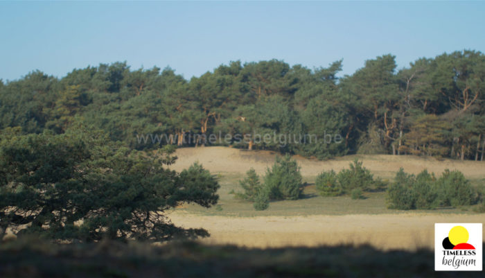 Sand dunes landscape