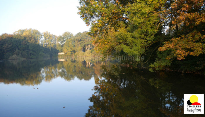 Colors of autumns in Ypres