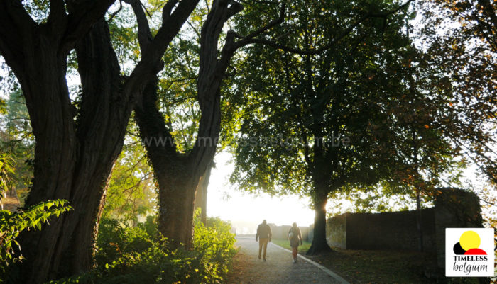 Walking in park area