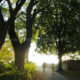 Ypres ramparts promenade : walking down Lille Gate park area - dolly shot real time