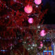 Christmas Tree at Mons Grand-Place decorated with balls and light garlands - static real time