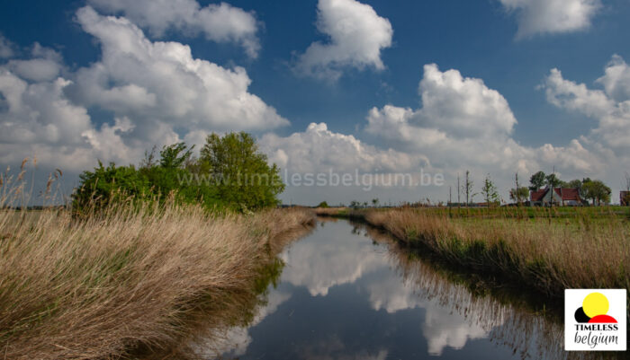 Polders landscape