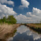 Coastal polder with water canal : typical landscape of West Flanders - static time lapse