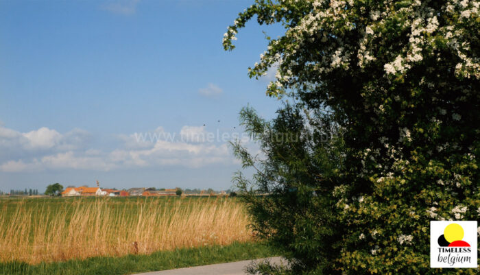 West Flanders countryside
