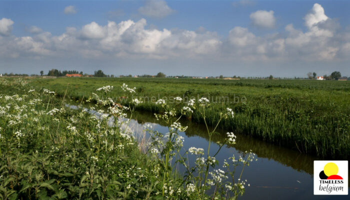 Coast plains of Belgium