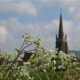 West Flanders charming scenery : springtime on picturesque village - dolly shot real time