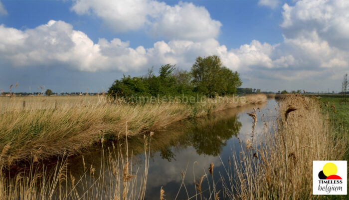 Water canal in flemish polders