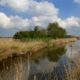 Rural landscape of West Flanders : springtime on picturesque canal - dolly shot real time