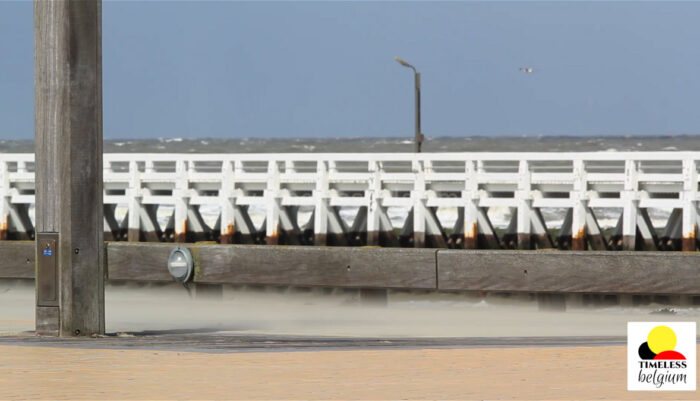 Nieuwpoort staketsel pier in the wind