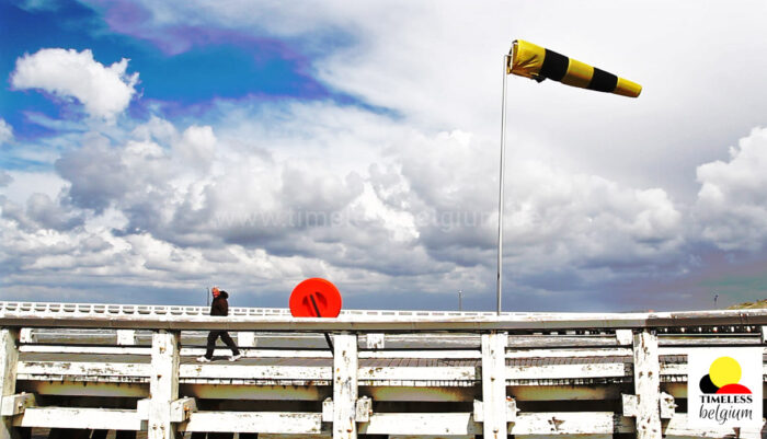 Weather shot : wind and cloudy sky