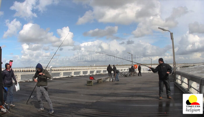 Sea fishing in Belgium