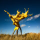 Beaufort Sculpture Park : artwork in sand dunes inspired by the sea waves - static time lapse