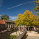 Bruges summer sunny sunday : flea market at the Dijver water canal - static time lapse