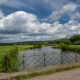 Charming landscape with Semois river, fluffy clouds and rolling hills - static time lapse