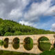 Lush forests and river in morning light at Chiny Saint-Nicolas bridge - static time lapse