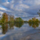 Nature surroundings of Ooidonk castle under the clouds of autumn - static time lapse