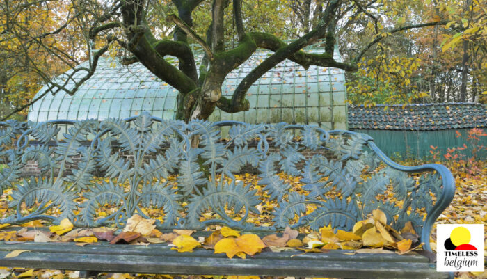 Fallen leaves on a bench in Ooidonk castle park